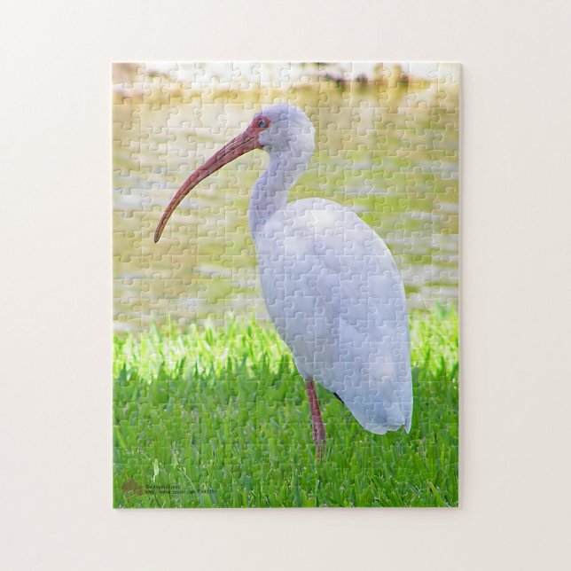 Ibis på ett bladfoto pussel (Vertikal)