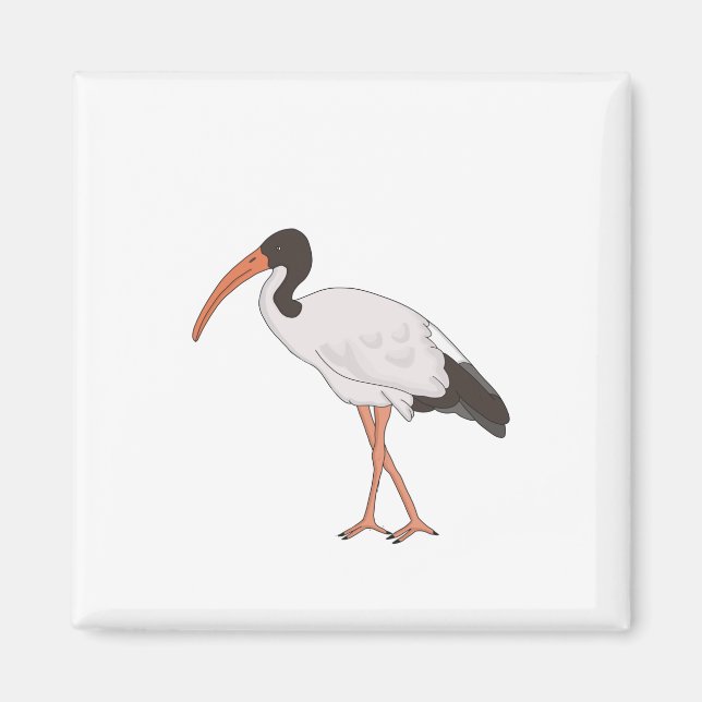 Ibis Tunna Chicken Bird Magnet (Framsidan)
