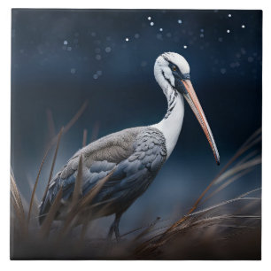 Ibis vid midnatt kakelplatta