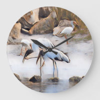 Ibis & Wood Storks