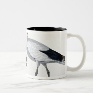 Ibises från "beskrivningen de l'Eypte", 1817 Två-Tonad Mugg