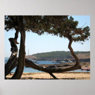 Ibiza drömmar poster