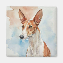Ibiza hund akryl fototegel