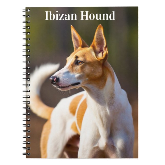 Ibiza hund anteckningsbok (Framsidan)