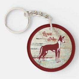 Ibiza podenco