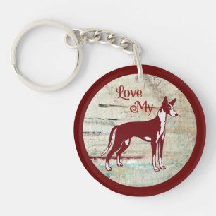 Ibiza podenco