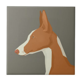 Ibiza podenco kakelplatta