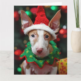 Ibizan Hound Elf Puppy-julkort Kort