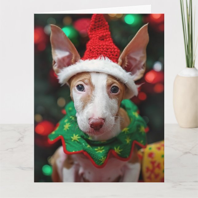 Ibizan Hound Elf Puppy-julkort Kort (Framsida)