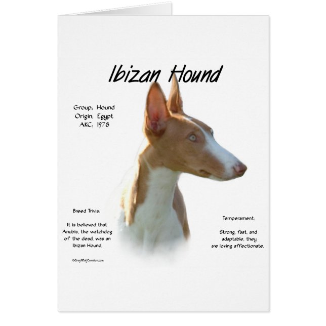 Ibizan Hound History Design Hälsningskort (Framsidan)