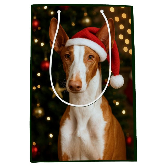 Ibizan Hound Holiday  (Framsidan)
