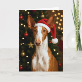 Ibizan Hound Holiday Card Helgkort