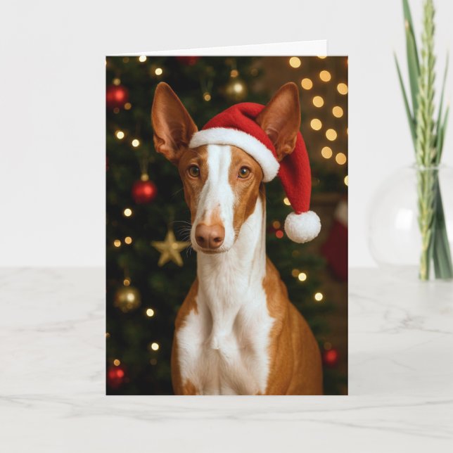 Ibizan Hound Holiday Card Helgkort (Framsida)