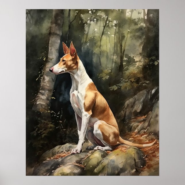Ibizan Hound Hund Art Print Poster (Framsidan)