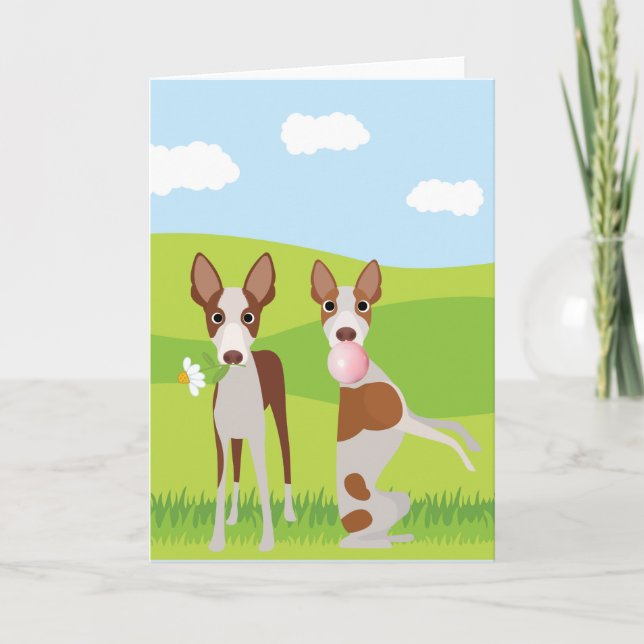 Ibizan Hound Hund Djur Bubble Gum Kort (Framsida)