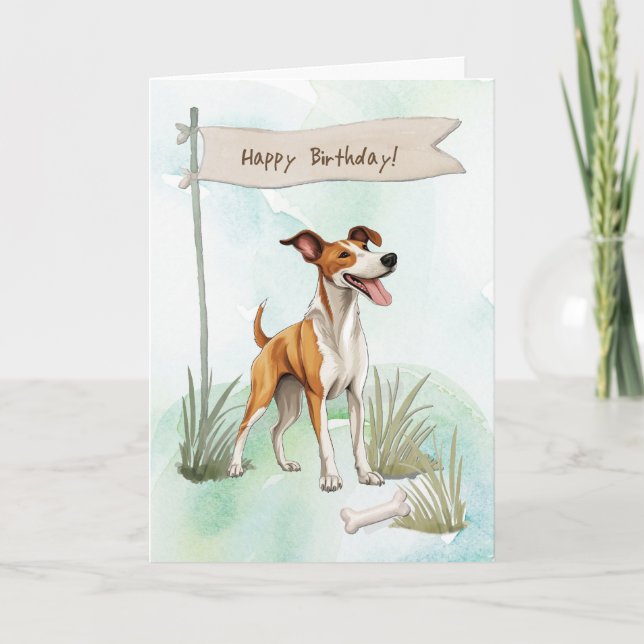 Ibizan Hound-Hund utomhus under födelsedagstecken Kort (Framsida)