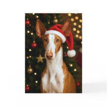 Ibizan Hound Julkort