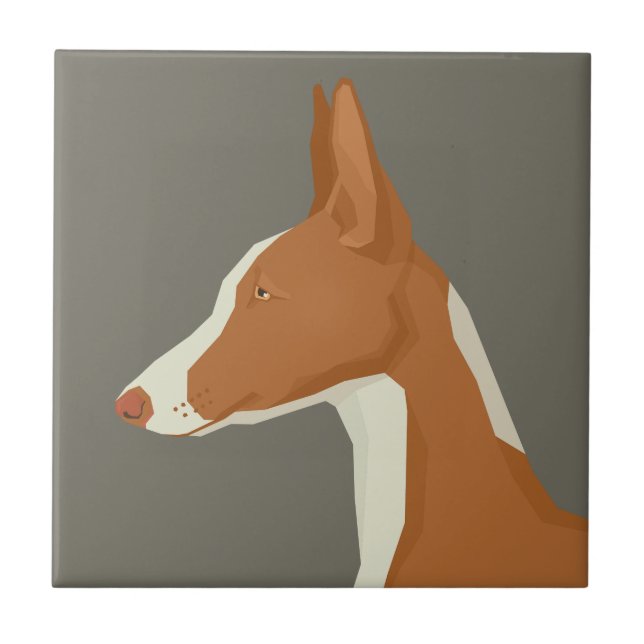 Ibizan Hound Kakelplatta (Framsidan)