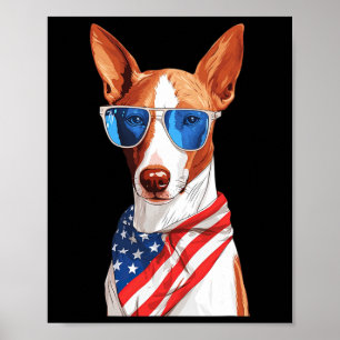 Ibizan Hound med USA flagga Independence day 4:e a Poster