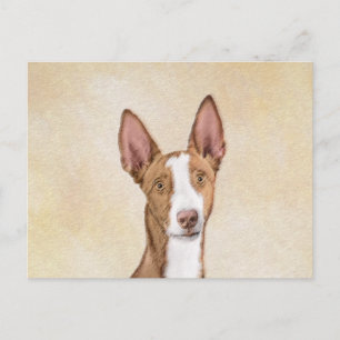 Ibizan Hound Painting - Cute Original Hund Art Vykort