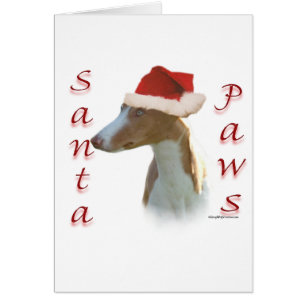 Ibizan Hound Santa Tassar Hälsningskort