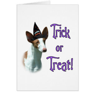 Ibizan Hound Trick Hälsningskort
