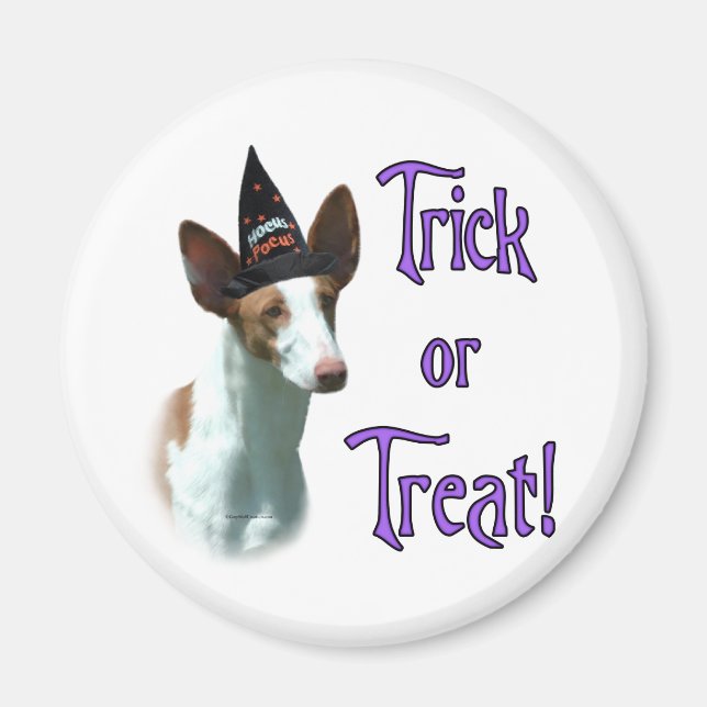 Ibizan Hound Trick Magnet (Framsidan)