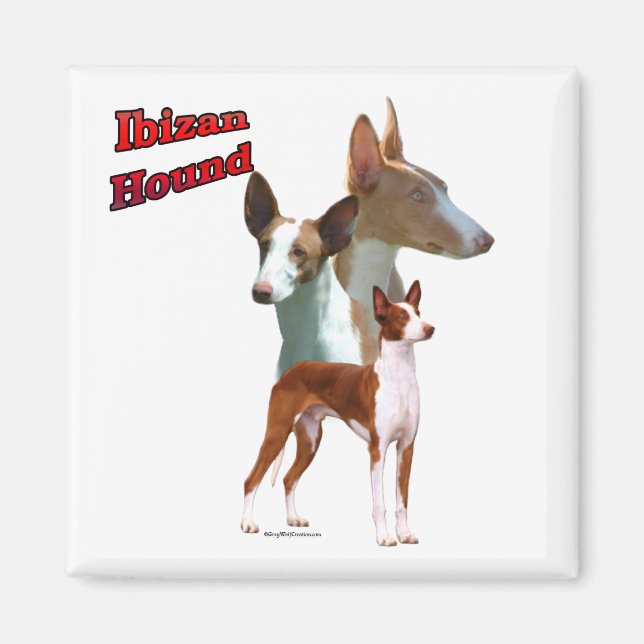 Ibizan Hound Trio 2 - Magnet (Framsidan)