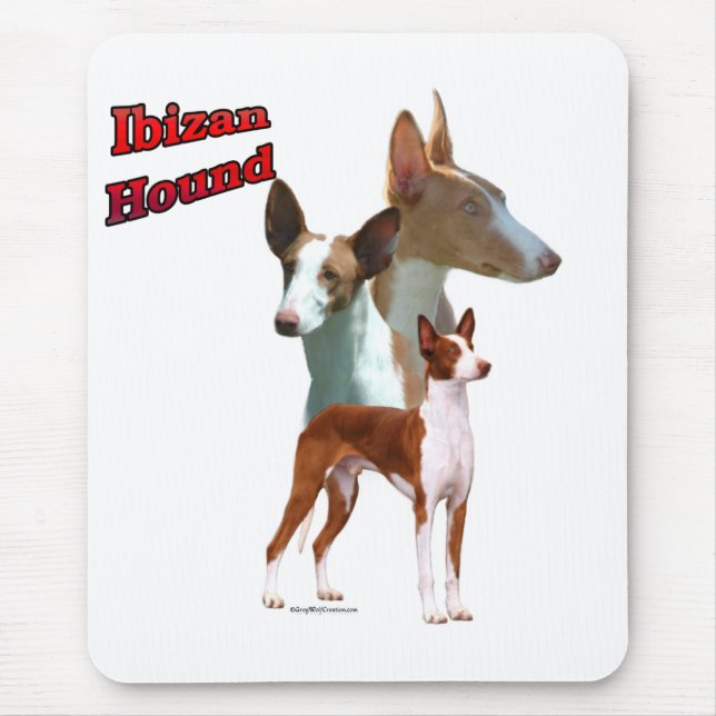 Ibizan Hound Trio 2 Musmatta (Framsidan)