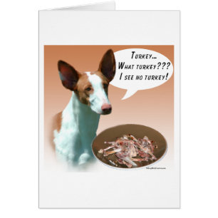 Ibizan Hound Turkiet Hälsningskort