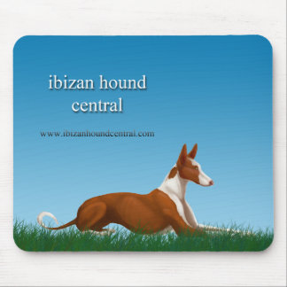 Ibizan hundcentral musmatta