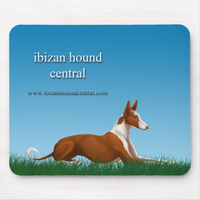 Ibizan hundcentral musmatta (Framsidan)