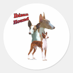 Ibizan hundTrio 2 - klistermärke