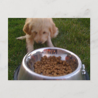 Ibland är det svårt att uppfylla dina förväntninga vykort