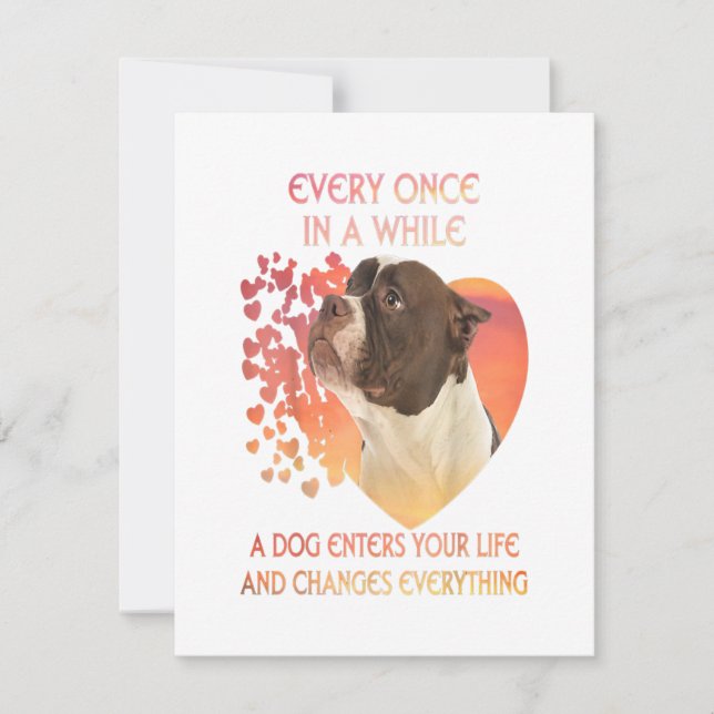 Ibland kommer en hund in i ditt liv inbjudningar (Framsida)