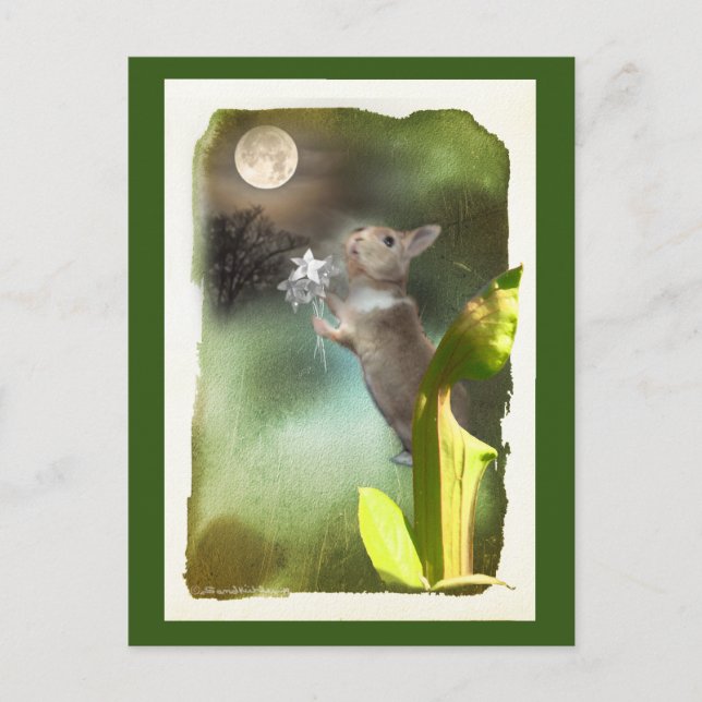 Ibland sent på kvällen hör jag Joey Singing / Card Vykort (Framsida)