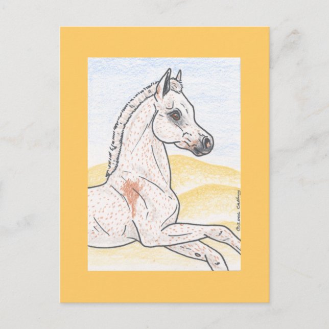 Ibn Shai Hulud Vykort (Framsida)