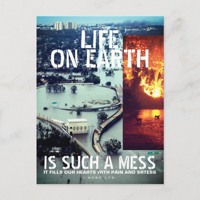 IBONELTD. LIVET PÅ JORD 2d Vykort (Framsida)