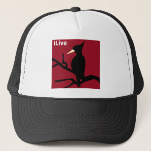 IBWO: iLive Truckerkeps