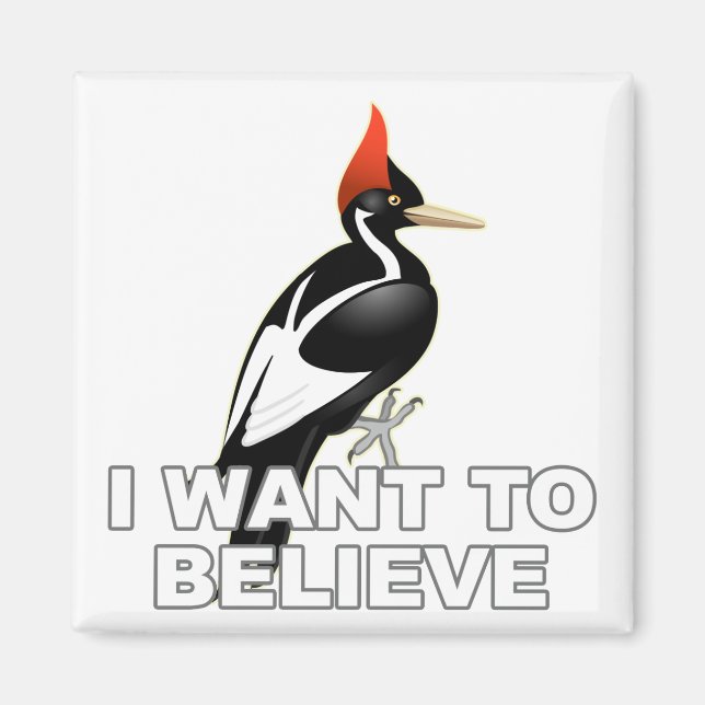 IBWO: Jag vill tro Magnet (Framsidan)