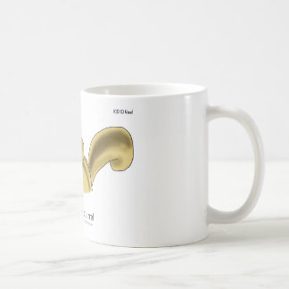 ICD-10: W53.21 som bitas av ekorren Kaffemugg