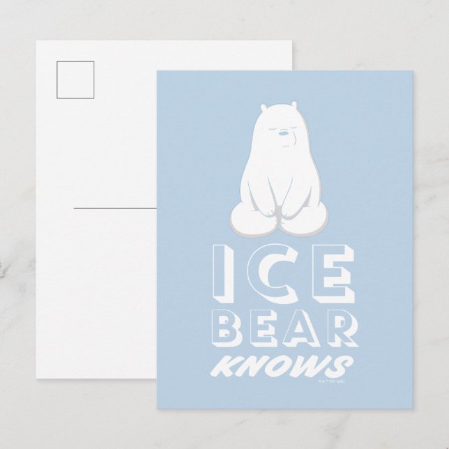 Ice Bear Knows Vykort (Fram/baksida)