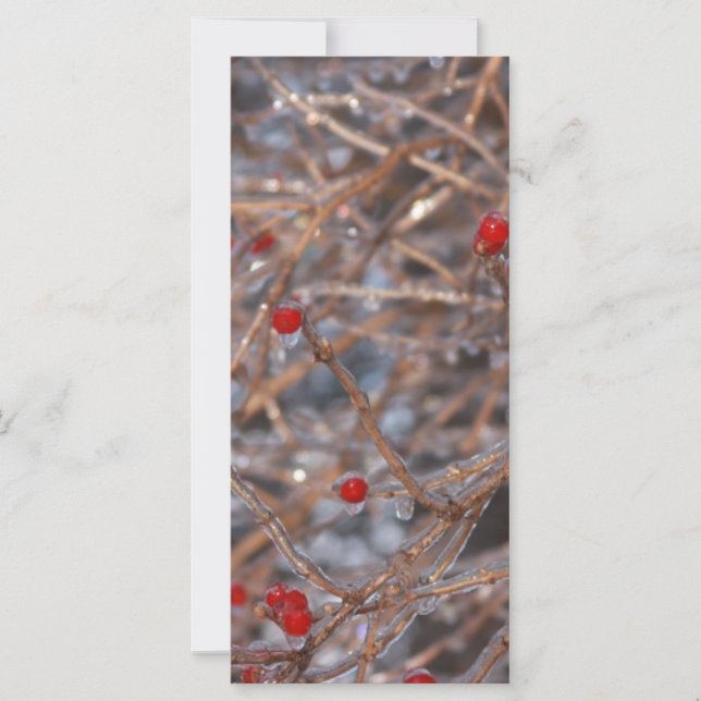 Ice Berries (Framsida)