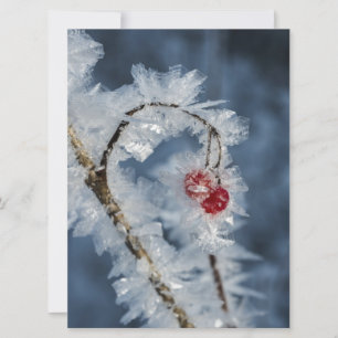 Ice Berries