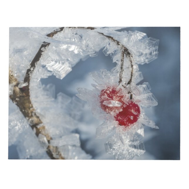Ice Berries Anteckningsblock (Framsida)