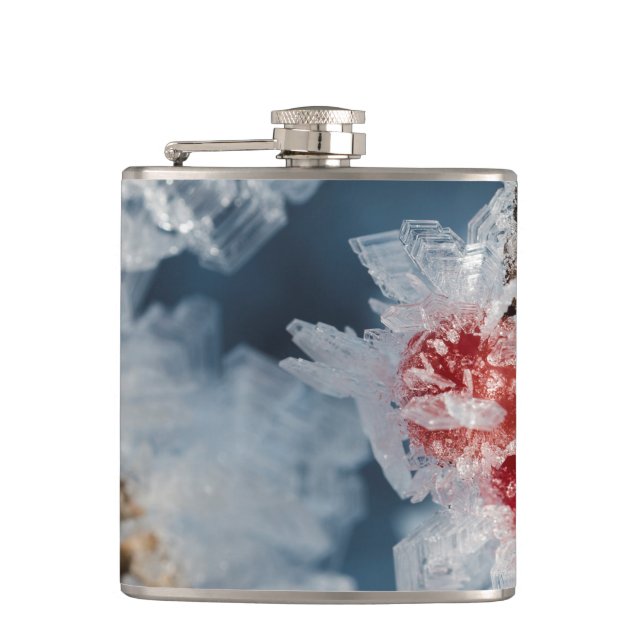 Ice Berries Fickplunta (Framsidan)