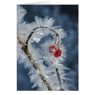 Ice Berries Hälsningskort