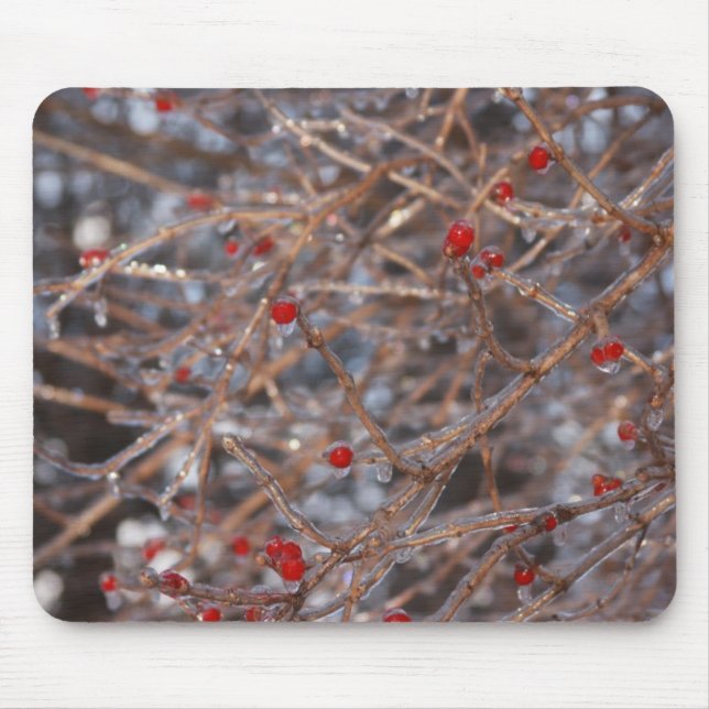 Ice Berries Musmatta (Framsidan)