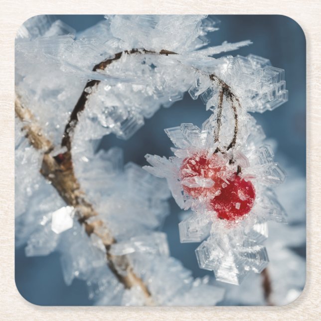 Ice Berries Underlägg Papper Kvadrat (Framsidan)