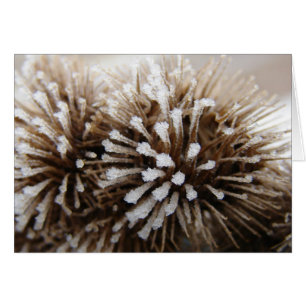 Ice Burrs Hälsningskort